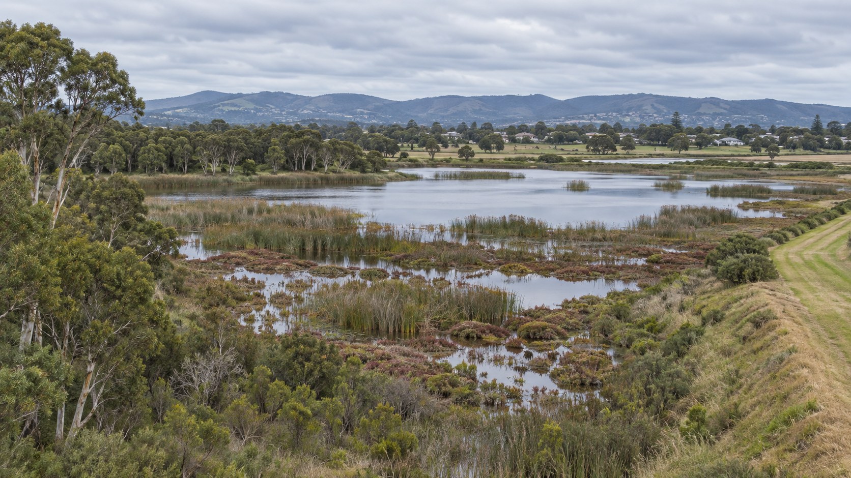 Remnant coastal wetland with shallow open water, reed beds and samphire flats, paperbark along the margin and paddocks with scattered dwellings in the middle distance under an even overcast sky