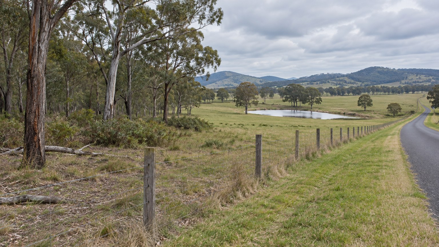 Wire farm fence line running along a mown grass verge beside a narrow sealed road, with remnant eucalyptus woodland on one side of the fence, open improved pasture and a farm dam on the other, and low rolling hills under a soft overcast sky