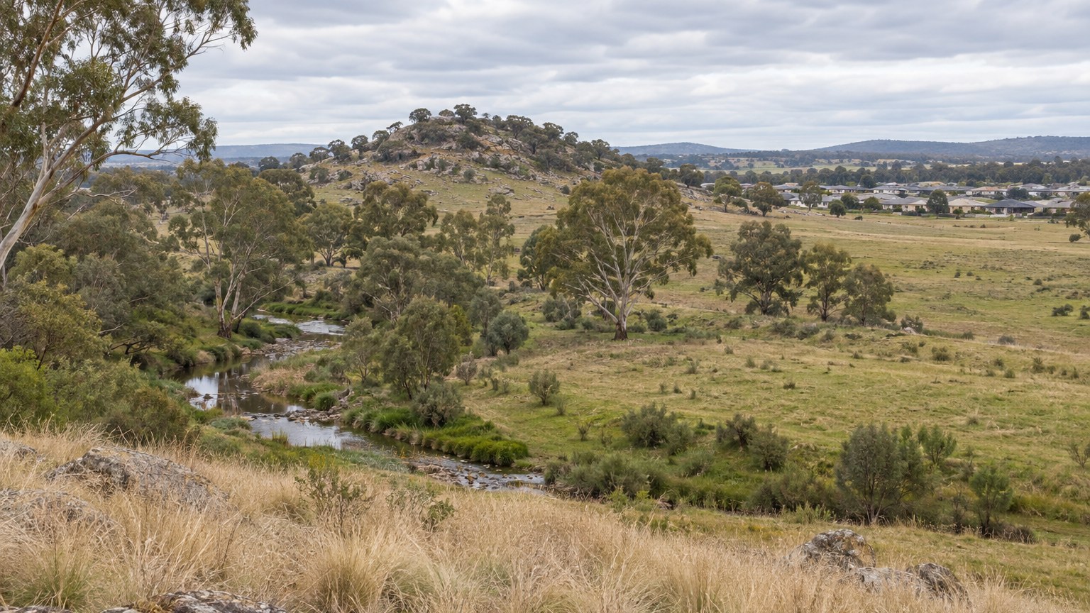 Open undeveloped rural land on the edge of an Australian regional town with a shallow creek line and scattered mature eucalyptus trees, dry native grass and a rocky rise, with low-density housing visible on the far horizon under a pale overcast sky