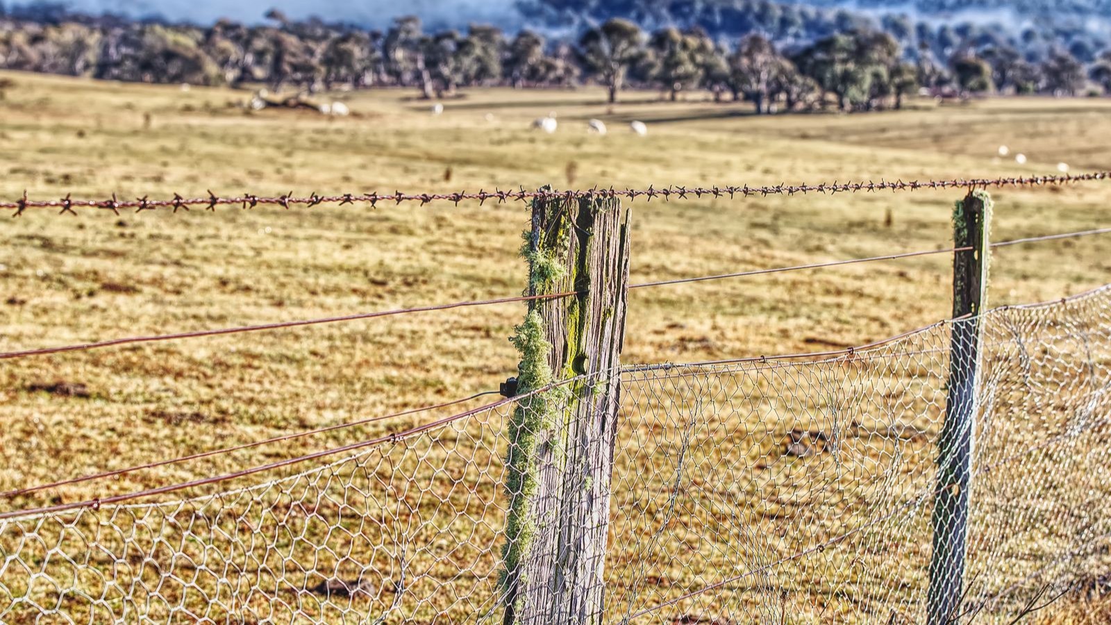 Australian rural paddock with a barbed wire fence and distant hills